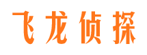 利辛市调查取证